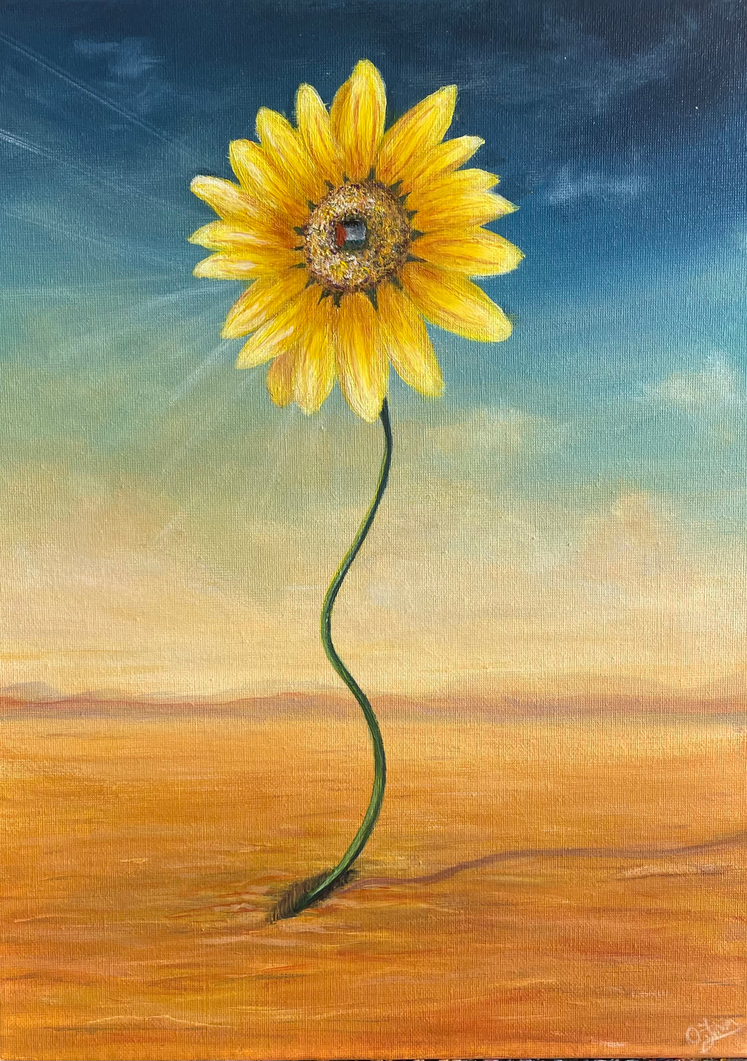Sunflower Growing Through Cracks
