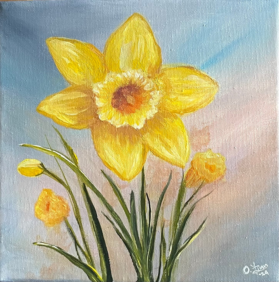 Daffodil 1