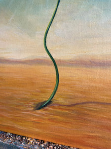 Sunflower Growing Through Cracks