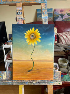 Sunflower Growing Through Cracks