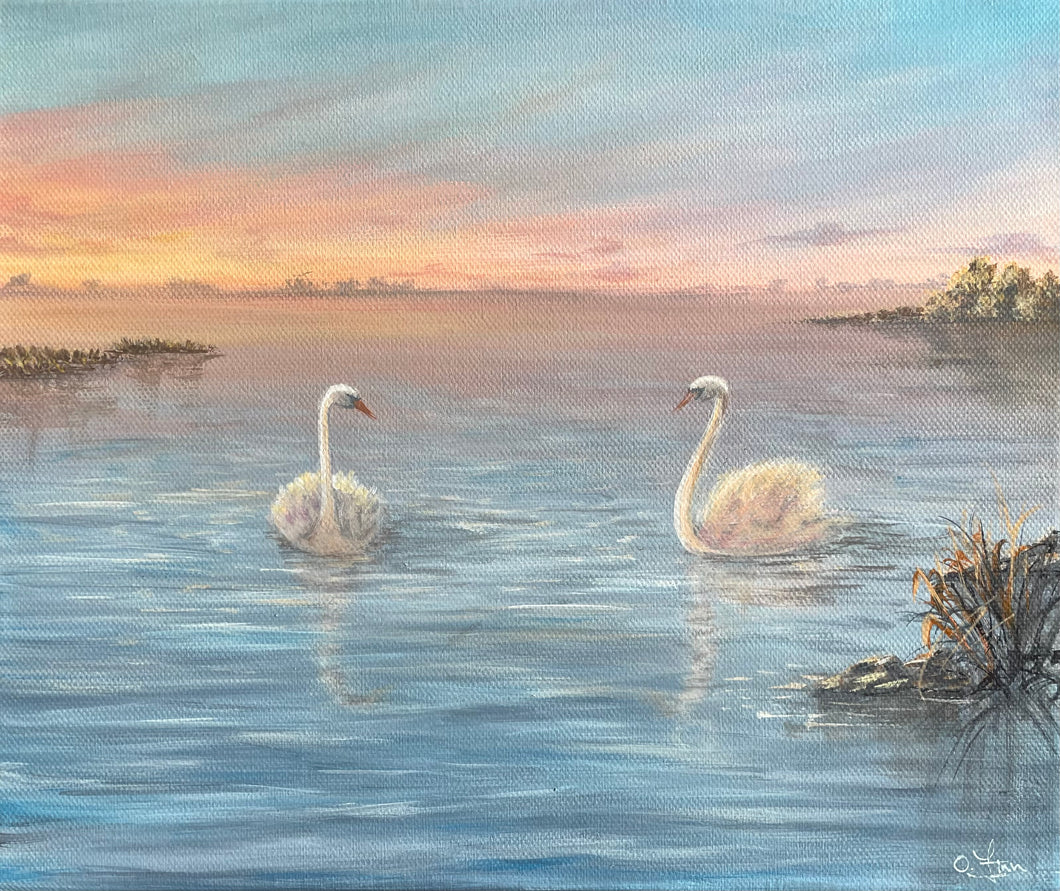 Two Swans at Lough Ennell