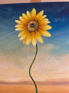 Sunflower Growing Through Cracks