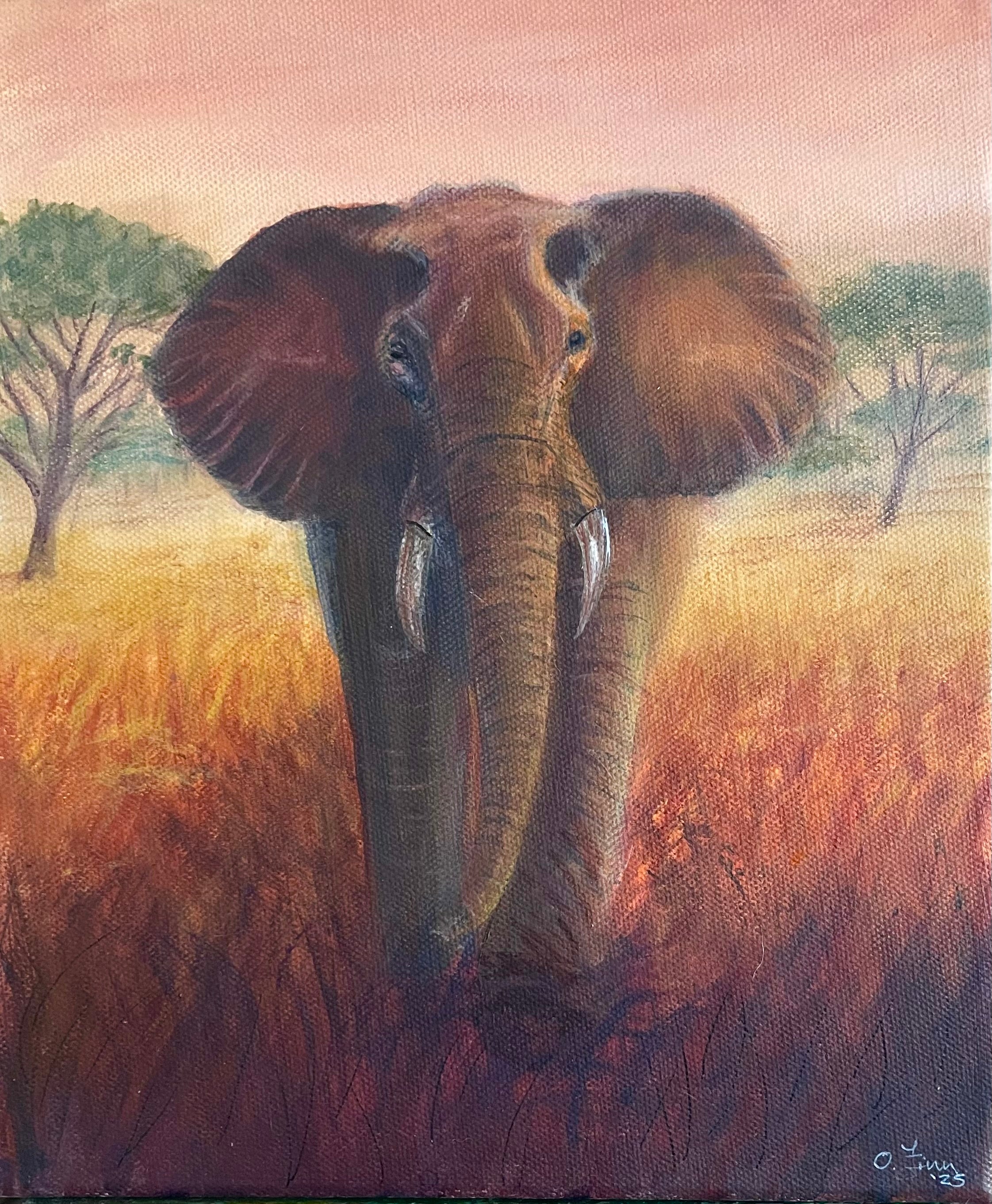 Elephant at Sunset – Olivia Finn Art