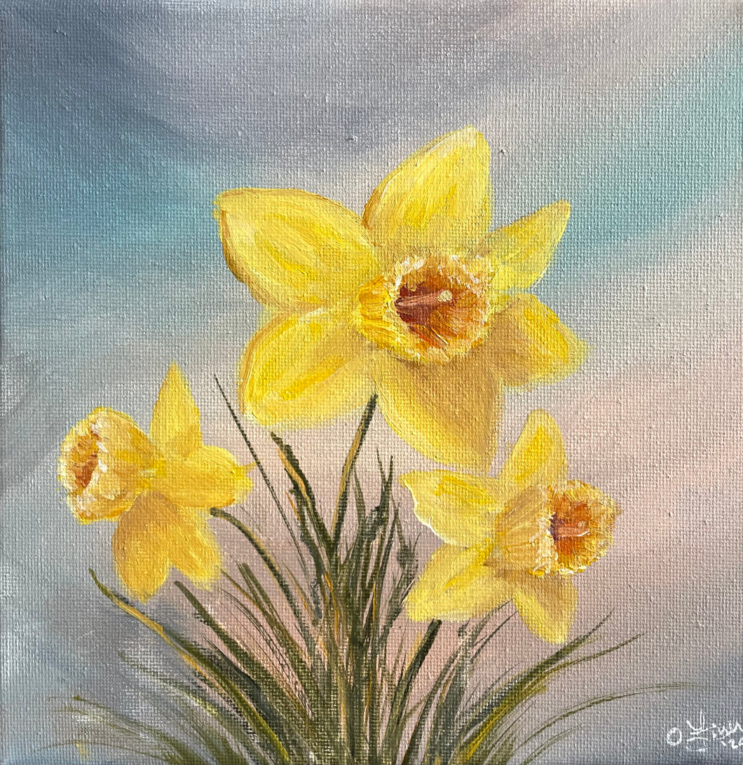 Daffodil 2