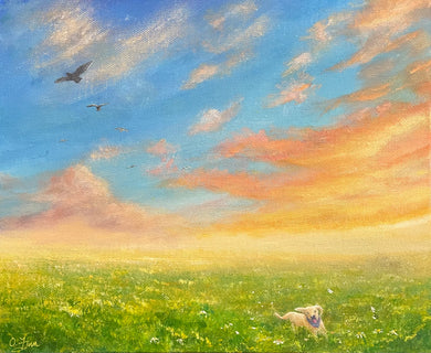 Dog in the Meadow