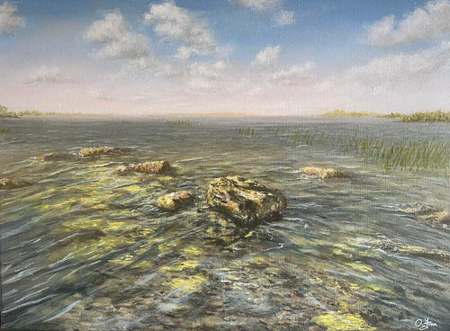 Rocks near the Shore of Lough Ennell