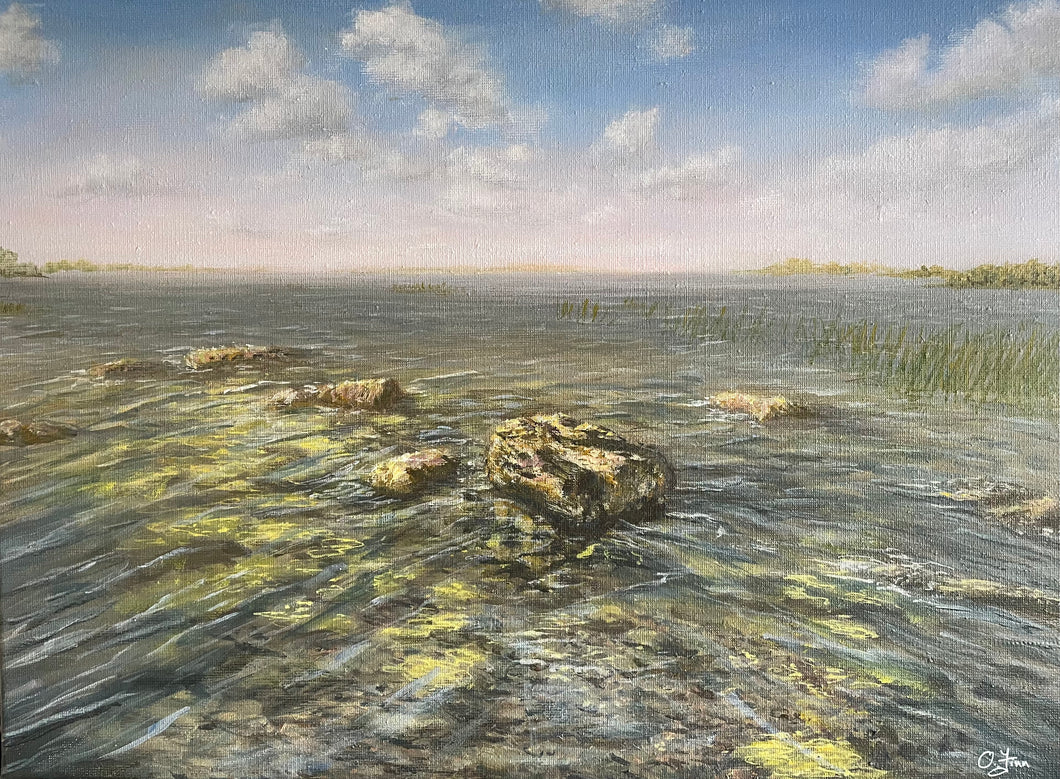 Rocks near the Shore of Lough Ennell