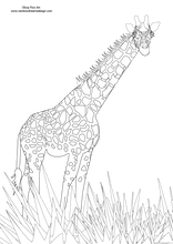 Load image into Gallery viewer, Colouring Page - Giraffe