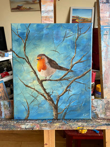 Robin with Blue Background