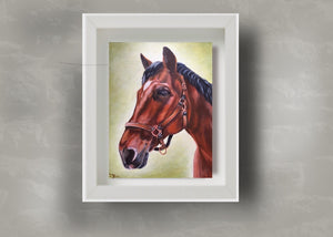 Kilbeggan Horse