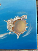 Load image into Gallery viewer, The Golden Apple in the Conch