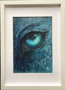 Study of Blue Wolf Eye