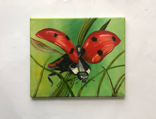 Load image into Gallery viewer, Flight of the Ladybird