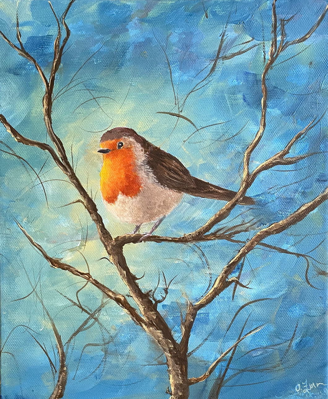 Robin with Blue Background