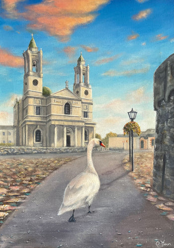 A Lone Swan Wanders up Castle Street