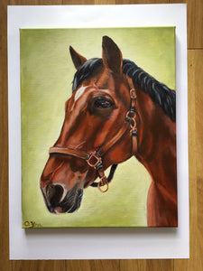 Kilbeggan Horse