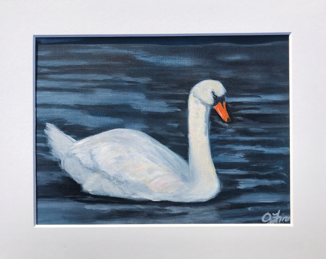 Swan in Soft Ripples